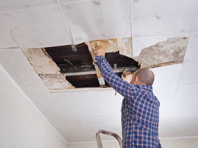 Local Leaking Ceiling Repair pros at work