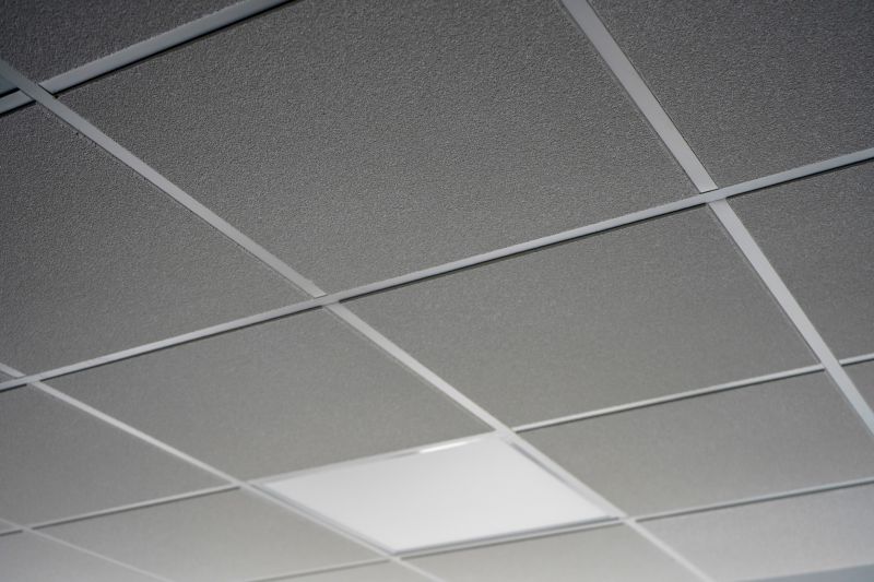 Acoustic Ceiling Installation in Longmont, CO