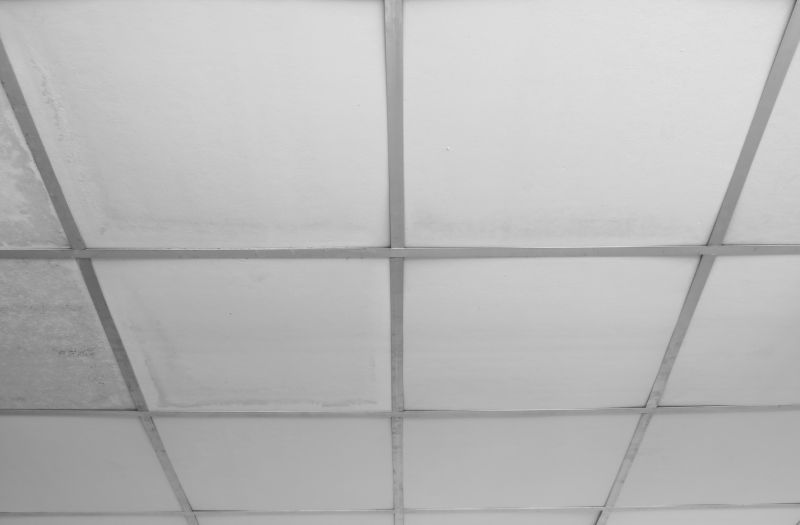 Ceiling Panel Repair in Arvada, CO