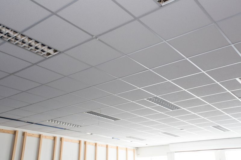 Grid Ceiling Installation in Arvada, CO