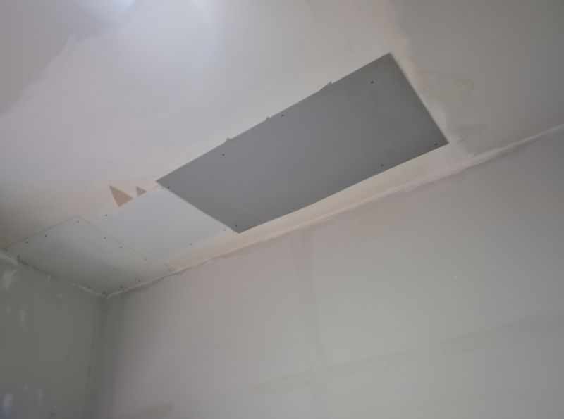 Leaking Ceiling Repair