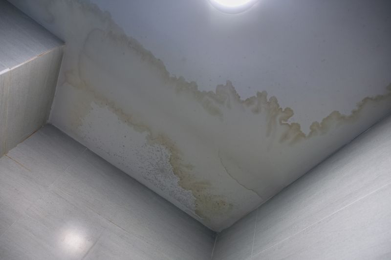 Leaking Ceiling Repair